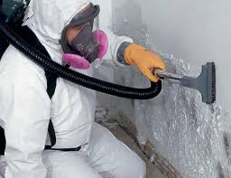 Asbestos and Lead Testing During Mold Inspection in Garden City South, NY